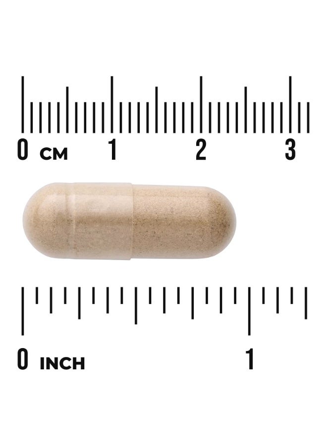 SWANSON Full Spectrum® Butcher's Broom, 470 mg, 100 Capsules - Image 3