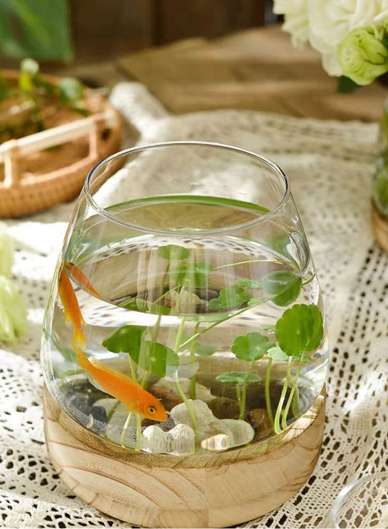 Aquarium Terrarium glass tank wood base 15x15x10.5cm - Image 3