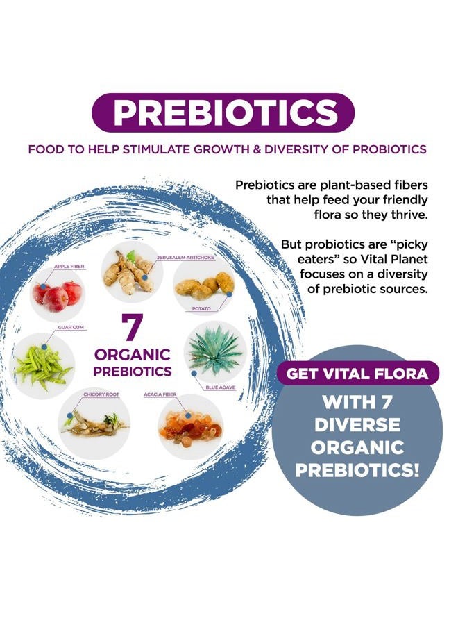 Vital Planet Vital Flora Women Over 55 Daily Probiotic 60 Billion CFU, 60 Diverse Strains, 7 Organic Prebiotics, Immune Support Shelf Stable Digestive Health Probiotics for Women 60 Capsules - Image 5