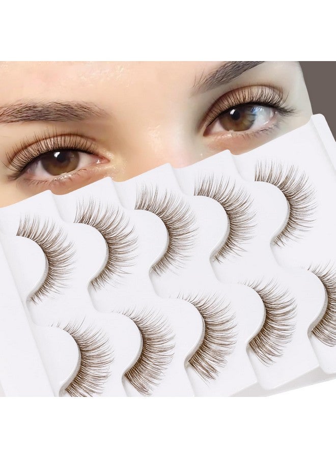Veleasha Brown Lash Kit With Glue & Tweezer Cat Eye Lashes Natural Look 3D Fake Eyelashes With Clear Band Brown Wispy Eyelashes Lightweight & Soft Brown Eye Lashes 5 Pairs Pack Eyelash Kit (Brown 01) - Image 2