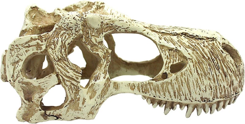 Komodo Komodo Reptile Terrarium Realistic TRex Skull Ornament Decor  Easy to Clean Under Water Aquarium or Dry Habitat Decoration Accessory Large 67x 37x 31  - Image 2