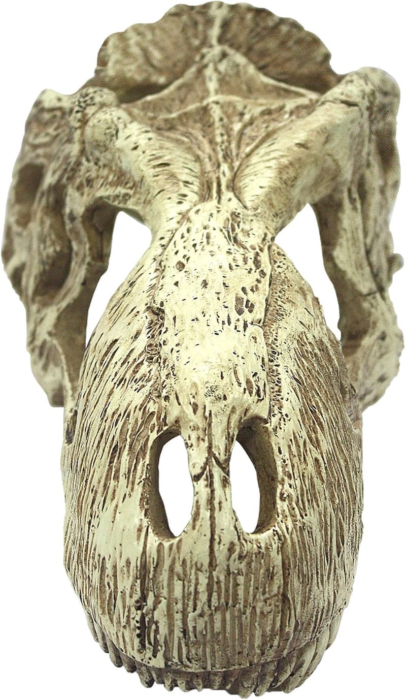 Komodo Komodo Reptile Terrarium Realistic TRex Skull Ornament Decor  Easy to Clean Under Water Aquarium or Dry Habitat Decoration Accessory Large 67x 37x 31  - Image 3