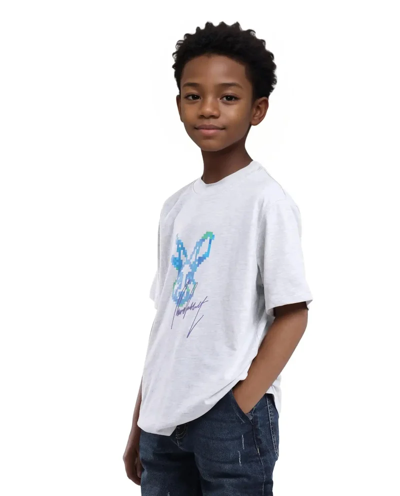 Rare Ones Rare Ones Kids Tebx Grey Cotton Blend Half Sleeve Printed Regular Fit T-Shirt