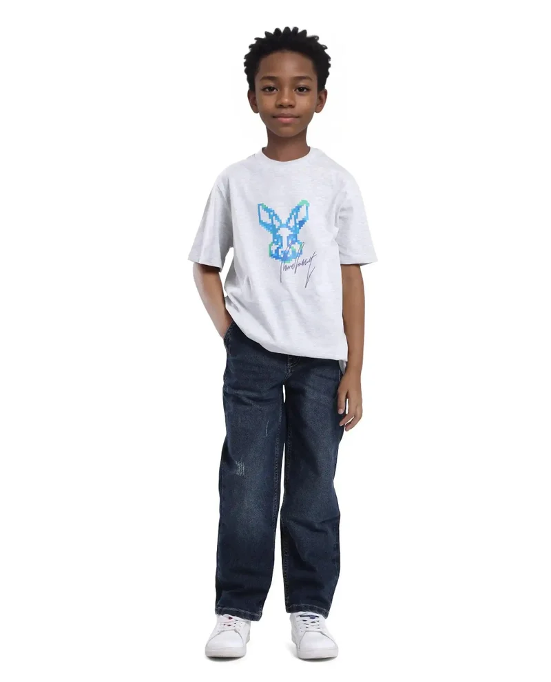 Rare Ones Rare Ones Kids Tebx Grey Cotton Blend Half Sleeve Printed Regular Fit T-Shirt