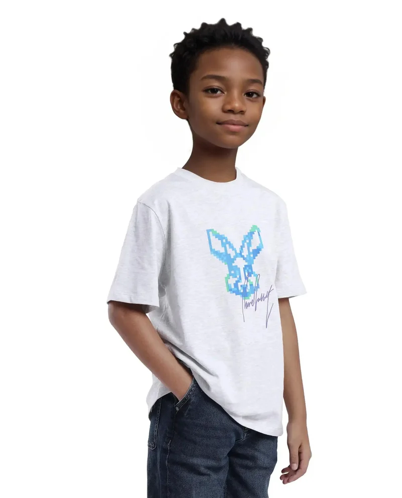 Rare Ones Rare Ones Kids Tebx Grey Cotton Blend Half Sleeve Printed Regular Fit T-Shirt