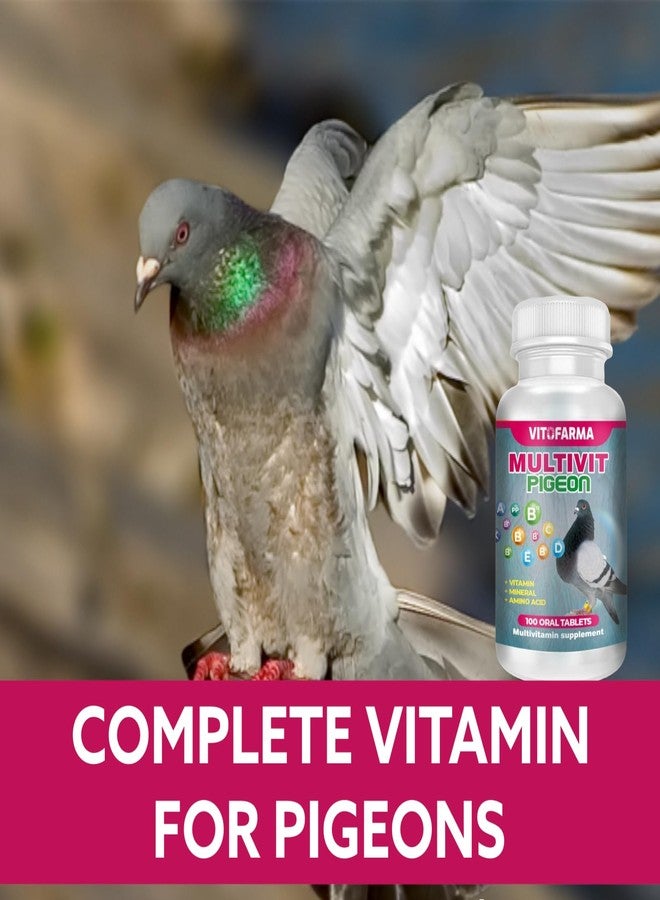 VITOFARMA MULTIVIT Pigeon para palomas 100 Tabs Vitamins Minerals Aminoacids for Racing Pigeons Show Pigeons Rollers Supplement for Birds - Image 4
