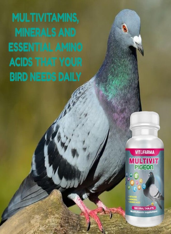 VITOFARMA MULTIVIT Pigeon para palomas 100 Tabs Vitamins Minerals Aminoacids for Racing Pigeons Show Pigeons Rollers Supplement for Birds - Image 2