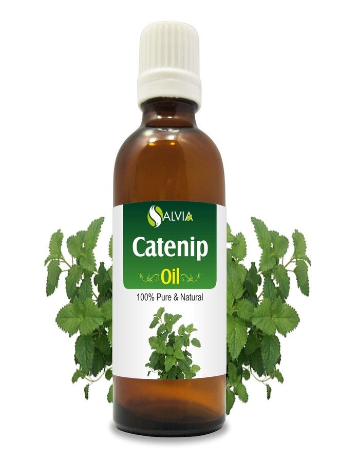 Salvia Catnip (Nepeta cataria) Essential Oil 100% Pure & Natural Undiluted Uncut Oil | Use for Aromatherapy | Therapeutic Grade - 50 ML