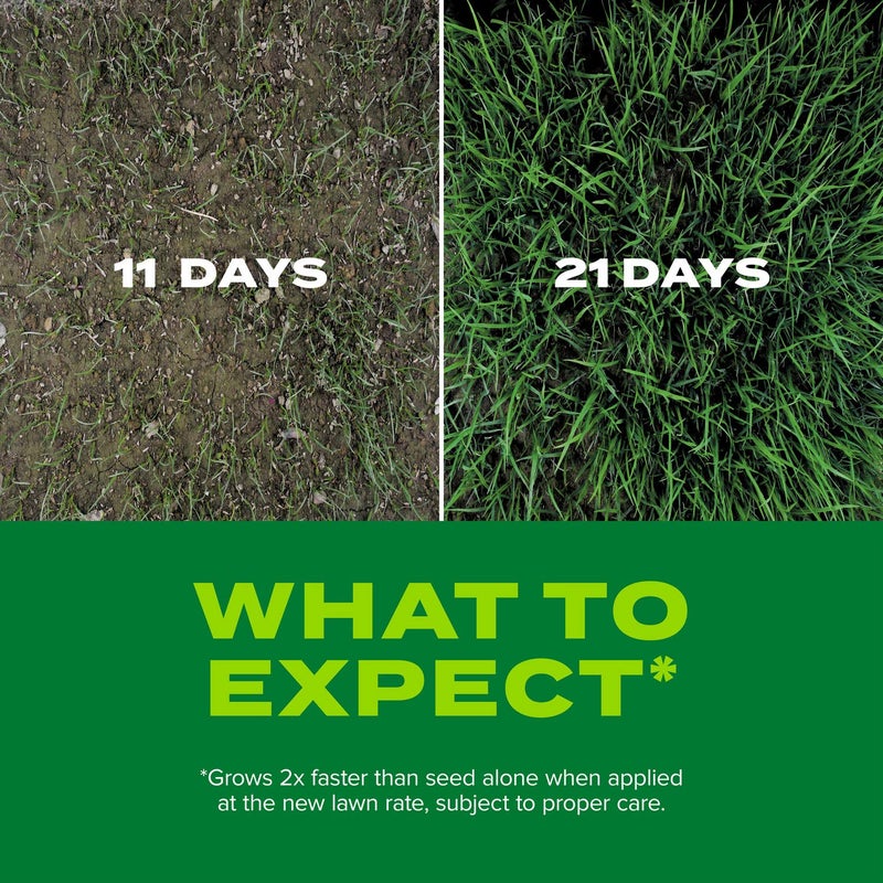 Scotts Turf Builder Rapid Grass Tall Fescue Mix, Combination Grass Seed and Fertilizer, Grows Green Grass in Just Weeks, 5.6 lbs. - Image 4
