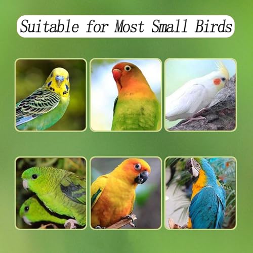 Xxmbbjy Automatic Bird Feeder for Cage, Automatic Acrylic Bird Feeder No Mess Bird Cage for Small Bird Parrots Canary Parakeet Budgerigar Crested Myna Cockatiel (Large) - Image 4