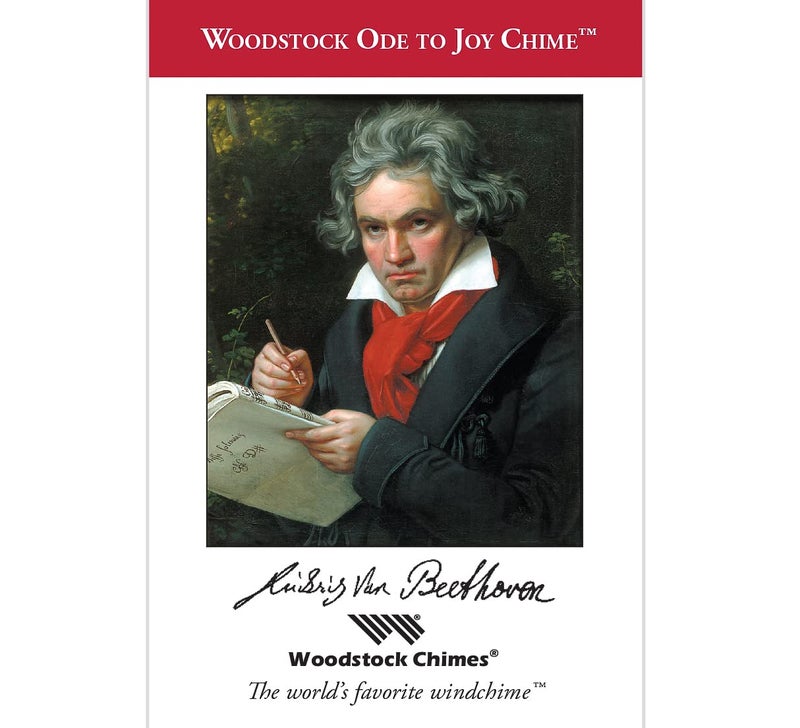 Woodstock Chimes Signature Collection, Ode to Joy Chime, 26'' Famous Melodies Wind Chimes for Outdoor, Patio, Home or Garden Décor (OJ) - Image 5