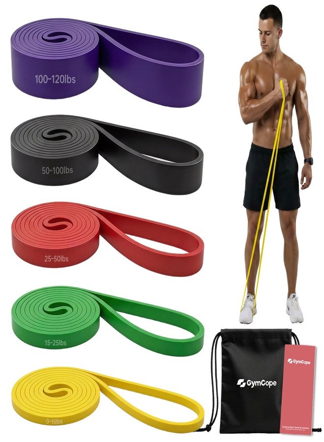 GymCope Pull Up Resistance Bands Set (3/4/5 Pack), Heavy Duty Exercise Bands for Men & Women, 5-120 lbs, Resistance Bands for Pull Up Assist, Strength Training, Stretching, Home & Gym Workout - Image 1