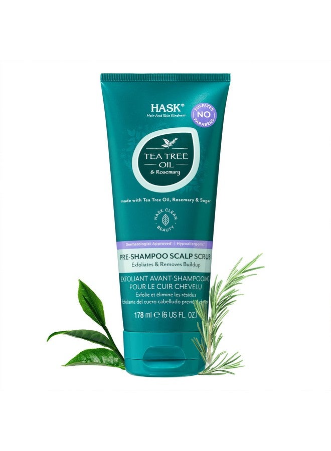 هاسك مقشر فروة الرأس قبل غسل الشعر بالشامبو بزيت شجرة الشاي وإكليل الجبل من هاسك، مناسب لجميع أنواع الشعر، آمن على اللون، خالٍ من الغلوتين والكبريتات والبارابين وخالٍ من القسوة - عبوة من قطعتين - Image 4