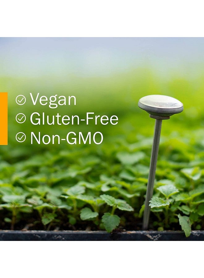 Herb Pharm Certified Organic Anise Liquid Extract for Digestive Support, 1 Fl Oz (Pack of 1) 1 Fl Oz - Image 5