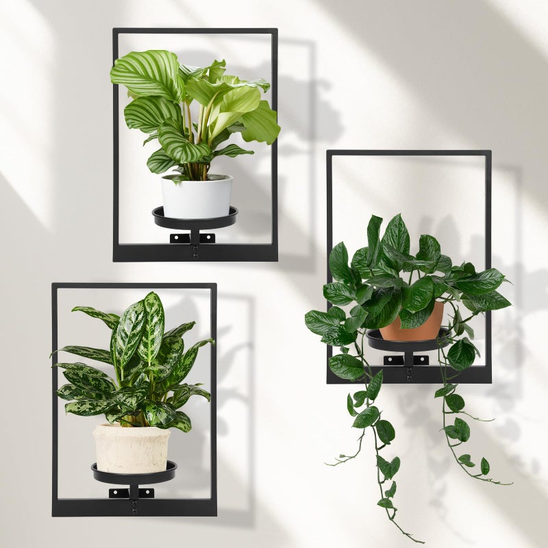 storenization Wall Planters for Indoor Plants, Window Plant Shelves Set of 3, Wall Plant Stand to Hold Large Pots - Premium Metal Hanging Plant Holder for Indoor Outdoor Decor - Image 1