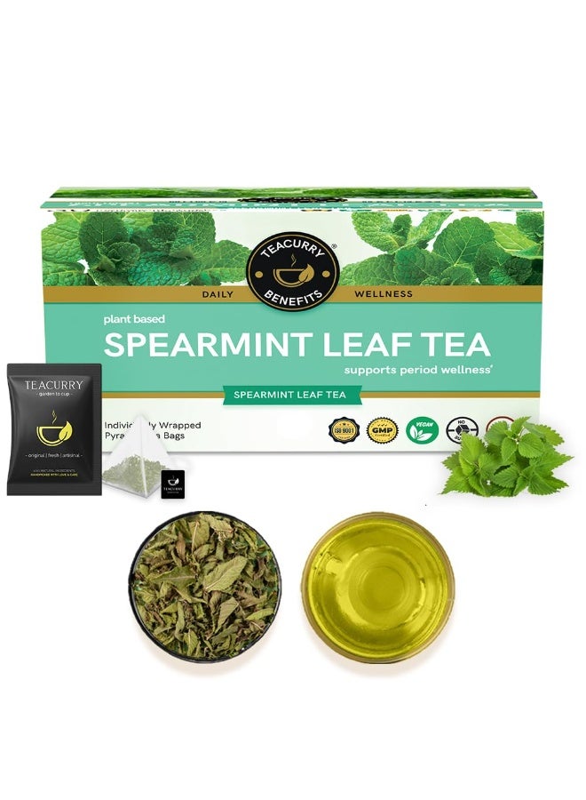 TEACURRY Spearmint Tea - Helps With Hormonal Imbalance, Facial Hair, And Pcos | Spearmint Tea Bags (30 Tea Bags - 1 Month Pack) - 60 Grams - Image 1