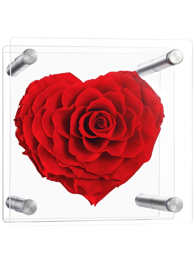 Captaintech Forever Heart Shape Rose 4.7in Real Eternal Rose Box Fully Handmade, Forever Flower, Valentines Day Gifts for Her, Wife, Girlfriend, Woman, Romantic Gift for Her, Birthday, Anniversary, Red - Image 1