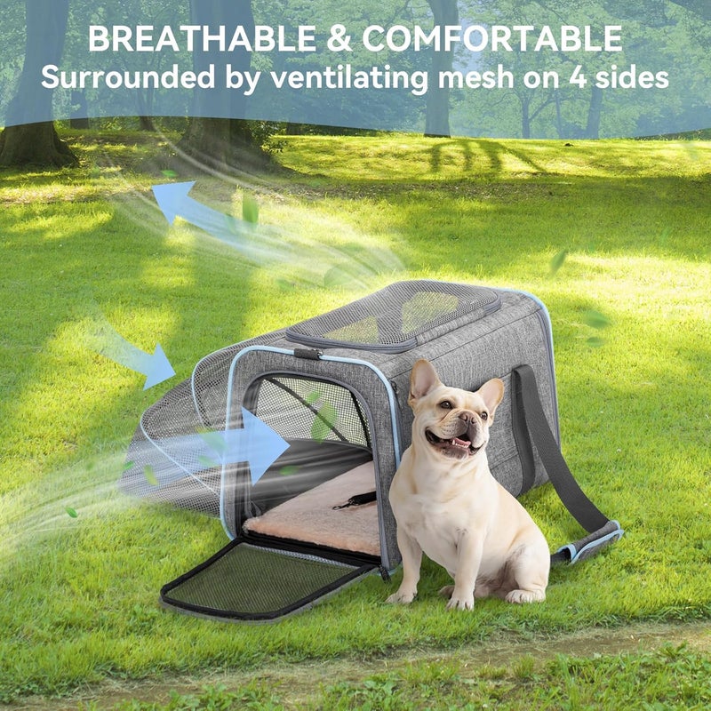 Petsfit Foldable Transport Bag for Cats and Dogs, Expandable Cat Transport Box with Shoulder Strap, Dog Carry Bag, Flight Bag, Oxford Fabric for Cats and Dogs, L/Gray/Single Sided - Image 3
