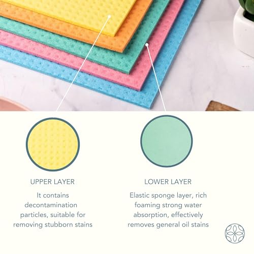 SHUTTLE ART Kitchen Cleaning Wet Wipes Sponge Reusable and Washable Cellulose Sponge Cloths Dish Towels, Absorbent and No Odor Paper Towels for Dishes ＆ Counters (Multicolour) (6) - Image 2