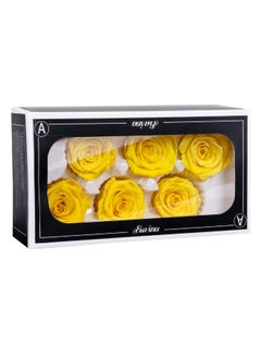 Gulf Flowers Gulf Flowers 6pcs Preserved Roses Box – 6cm Diameter Natural Fresh Rose Heads Romantic Gift Box for Valentines Day Birthday Anniversary DIY Mother’s Day or Any Occasion 