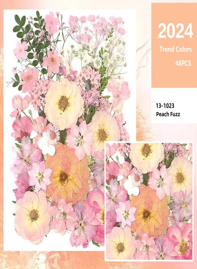 AHTONG 14 Kinds Pink Dried Pressed Flowers for Crafts, Herbarium for Resin Moulds, Jewelry Making, Floral Decorations (Peach Fuzz) - Image 3