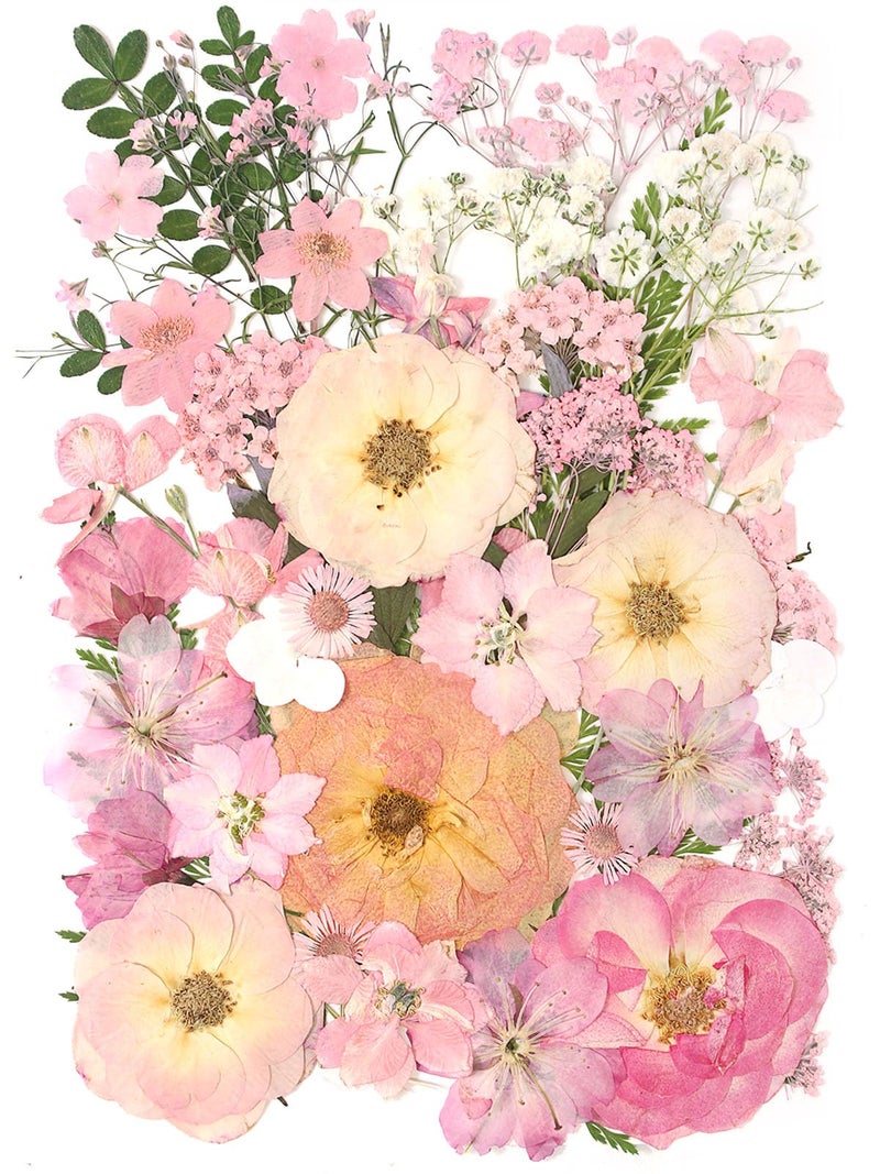 AHTONG 14 Kinds Pink Dried Pressed Flowers for Crafts, Herbarium for Resin Moulds, Jewelry Making, Floral Decorations (Peach Fuzz) - Image 1