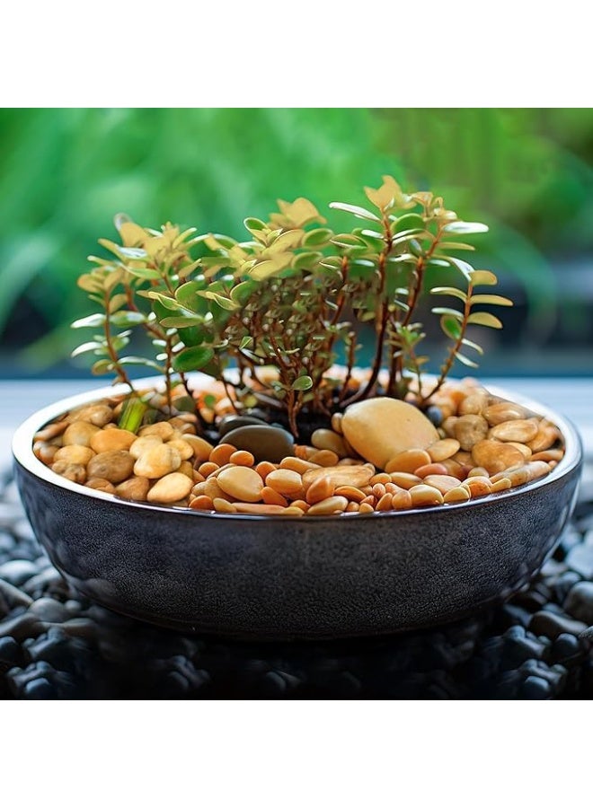 Light Brown Smooth & Polished Decorative Small Size Stones Pebbles for Aquarium Garden Landscaping Plants and Home Interior & Exterior Decoration Durable Rocks Gravel for Decor (Small - 1kg) - Image 3