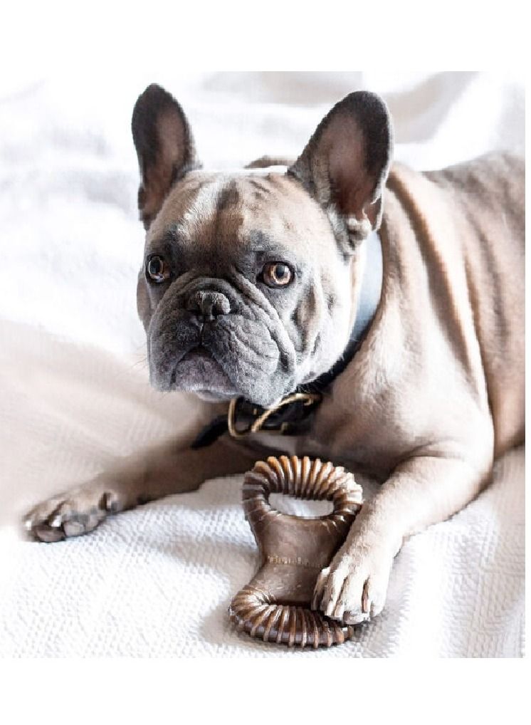 Benebone Peanut Dental Dog Chew Playing Toy Large - Image 3