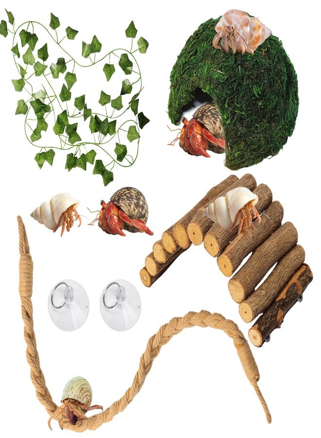 Hollima Hermit Crab Accessories, Hermit Crab Climbing Toys, Bendable Rope Bridge Wooden Shell Hideout Hut Plants for Reptile Amphibians Hermit Crab Tank Accessories Supplies - Image 1
