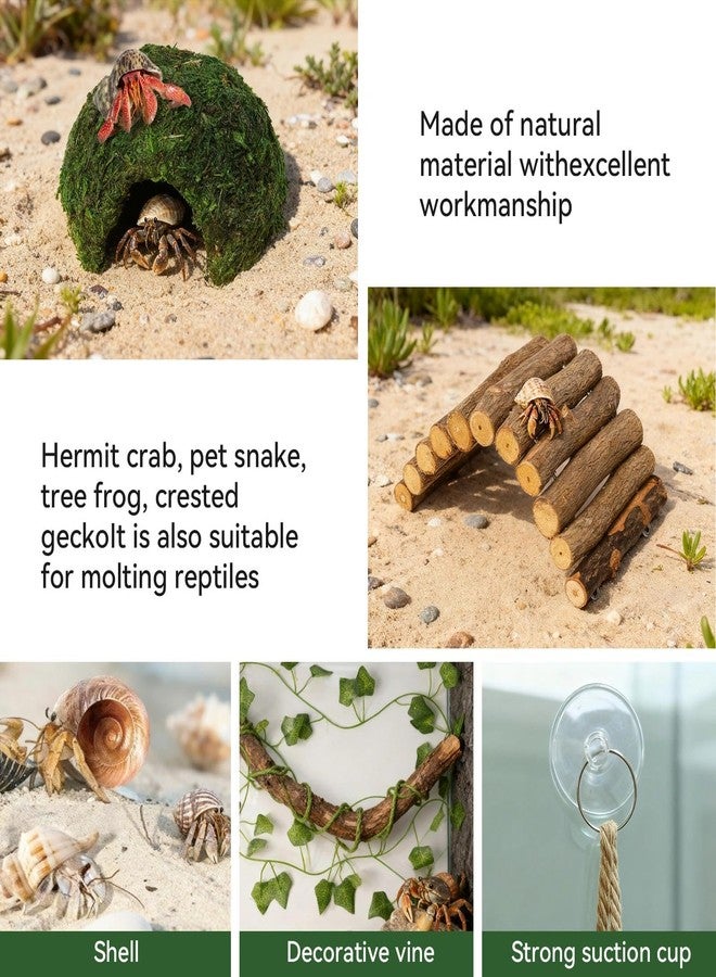 Hollima Hermit Crab Accessories, Hermit Crab Climbing Toys, Bendable Rope Bridge Wooden Shell Hideout Hut Plants for Reptile Amphibians Hermit Crab Tank Accessories Supplies - Image 4