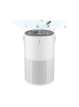 Desktop Air Purifier with Aromatherapy Negative Ion Deodorization and Sterilization Air Freshener - pzsku/Z63F0F5D25BED24F2BBC8Z/45/_/1732530977/18556b52-040e-4bc2-9b99-c9fba0a5cfe7