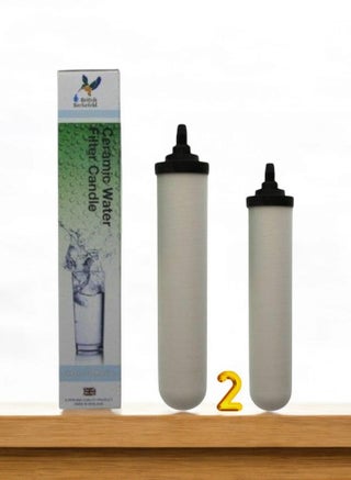 2 ceramic replacement candles for the English filter - pzsku/Z63F288D01404240A90BEZ/45/1753189418/864e2433-1ecb-4a53-9615-7a6a6f3e465c