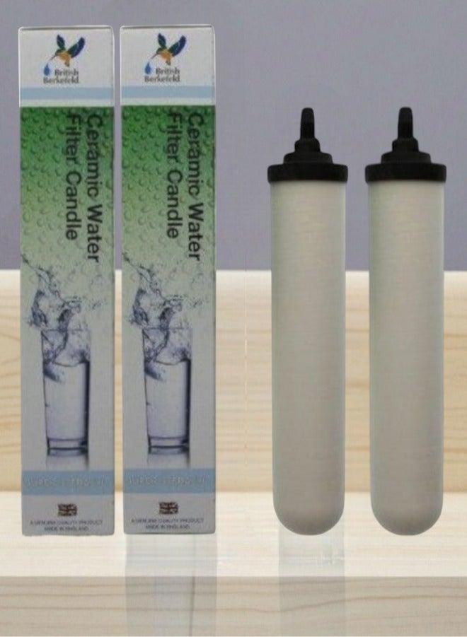 بريتش بيركفيلد 2 شمعة الفلتر الانجليزي مصنوعة من السيراميك والكربون