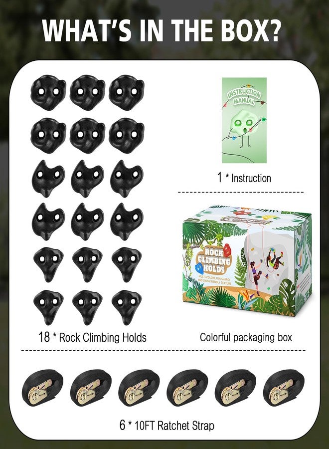 TOPNEW 18PCS Ninja Tree Climbing Holds and 6 Sturdy Ratchet Straps for Kids Tree Climbing, Large Climbing Rocks for Outdoor Ninja Warrior Obstacle Course Training - Image 2