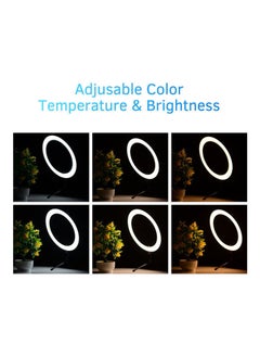 NIBEMINENT LED Photography Ring Light With Mobile Holder Black  - Image 2