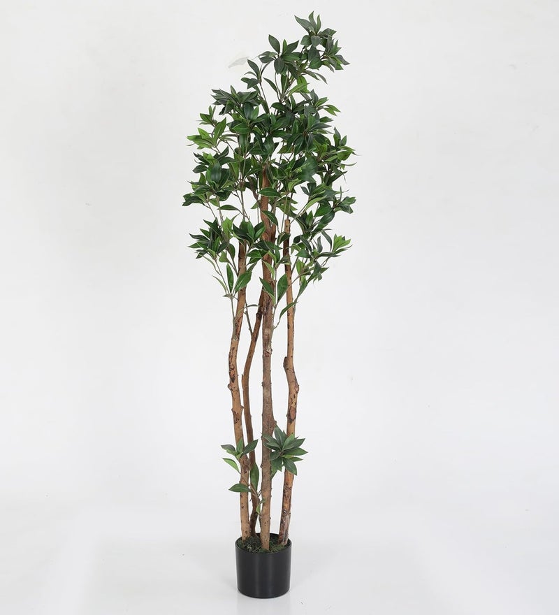 ARICKDECOR Artificial Rubber Tree 5FT Fake Olive Silk Tree Large Faux Plants Indoor Tall Olive Branch and Fruits with Potted for Home Office Living Room - Image 2