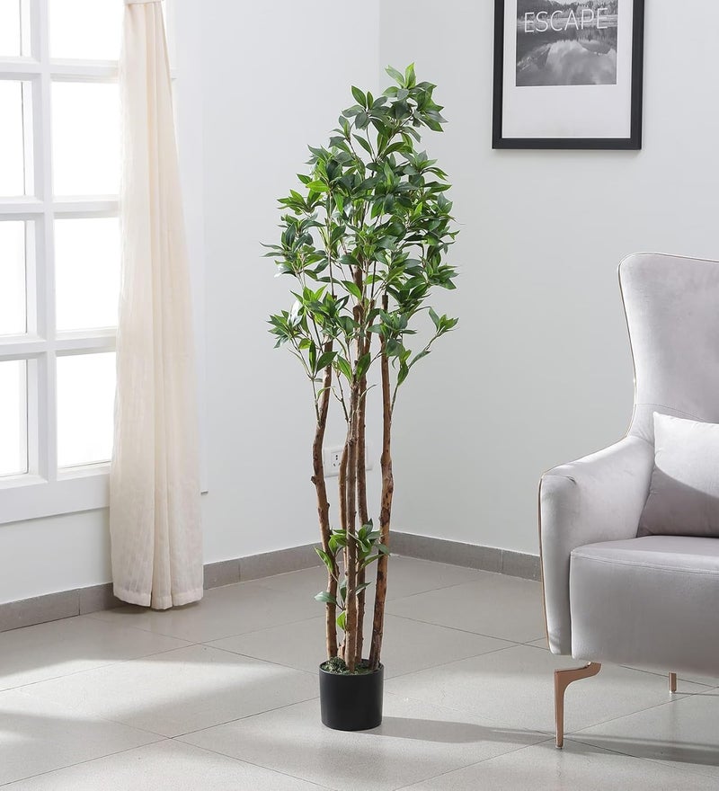 ARICKDECOR Artificial Rubber Tree 5FT Fake Olive Silk Tree Large Faux Plants Indoor Tall Olive Branch and Fruits with Potted for Home Office Living Room - Image 4