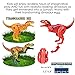COFFLED 4 Pack Different Hatching Eggs Dinosaur Toys for 3 Year Old KidsMagic Egg that Hatch Dinosaurs Toy for Boy Girl Dino FansDeformation TrexPterosaursBrachiosaurusTriceratopsRandom Color - Image 3