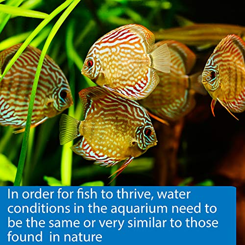 API 5-IN-1 TEST STRIPS Freshwater and Saltwater Aquarium Test Strips 4-Count Box - Image 5