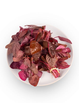 Red Spinach
