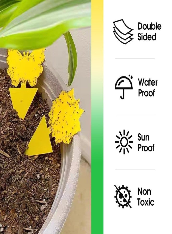 Cleanuper WCOUST 58 Pcs Fruit Fly Trap for Indoors, Fungus Gnat Killer Indoor Sticky Traps for Mosquitoand Flying Insects - Image 4