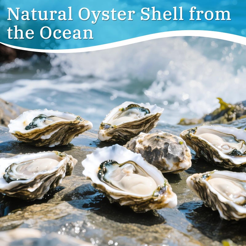 APUDWN 16 Set Natural Oyster Shells for Crafts 4-5 Inch Flat Oyster Shell Kits Drilled Includes Floral Chinoiserie Decoupage Napkins Glue Paints Twine Brushs for DIY Arts Hanging Ornaments - Image 2