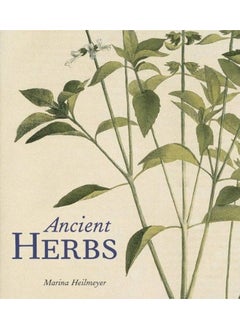 Ancient Herbs 