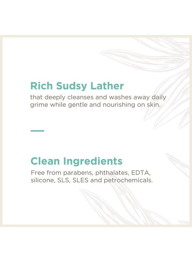 Soapbox Foaming Hand Soap Aloe Water & Sage 11Oz Pump Bottles 3 Ct Gently Scented Moisturizing Foaming Hand Wash For Kitchen And Bathroom Vegan Cruelty & Paraben Free - Image 5