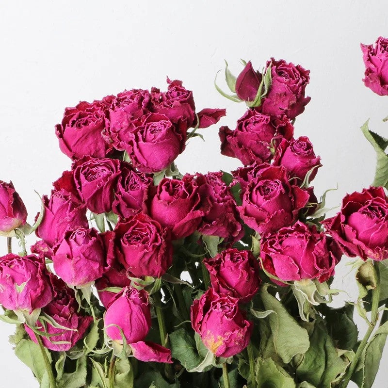 Bluejw Natural Dried Rose Buds with Stem - Wedding Bouquet, Real Dried Rose Flower Bouquets, Decorative Dried Plants - Image 1