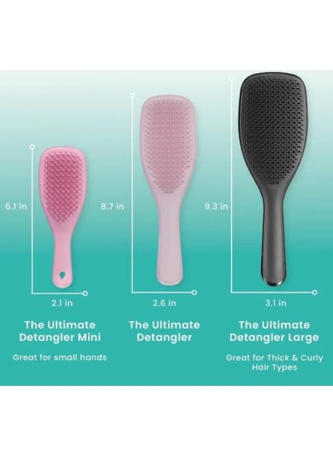 TANGLE TEEZER The Large Wet Detangler - Rose/Sage