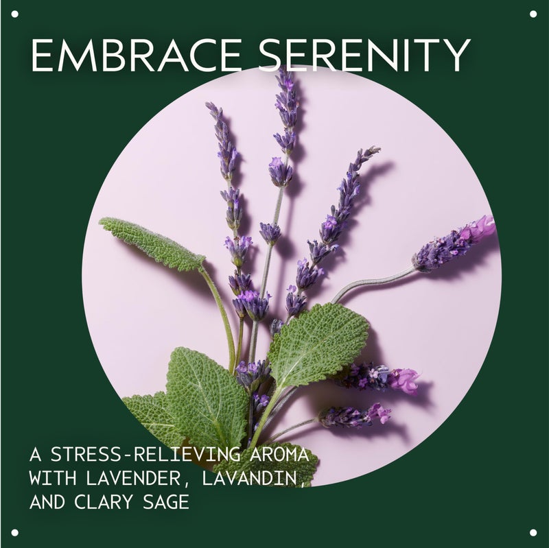Aveda Stress-Fix Concentrate Rollerball | Shown to Reduce Feelings of Stress | with Aroma of Lavender, Lavandin, Clary Sage, 0.24 Fl Oz - Image 3