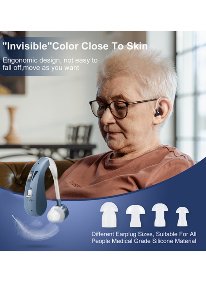 Hearing Aid, Rechargeable Hearing Aids for Hearing Loss, Noise Cancelling and Volume Control, Silver