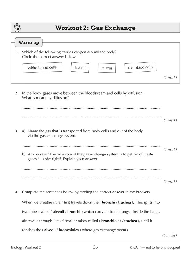 New KS3 Year 9 Science 10-Minute Weekly Workouts (includes answers)