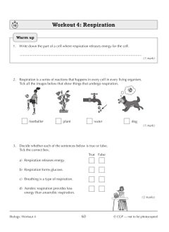 New KS3 Year 9 Science 10-Minute Weekly Workouts (includes answers) - pzsku/Z63FE717DE8BBB1FA2C44Z/45/_/1732721079/94b2335f-967b-44e7-82e4-a41af4dc385f